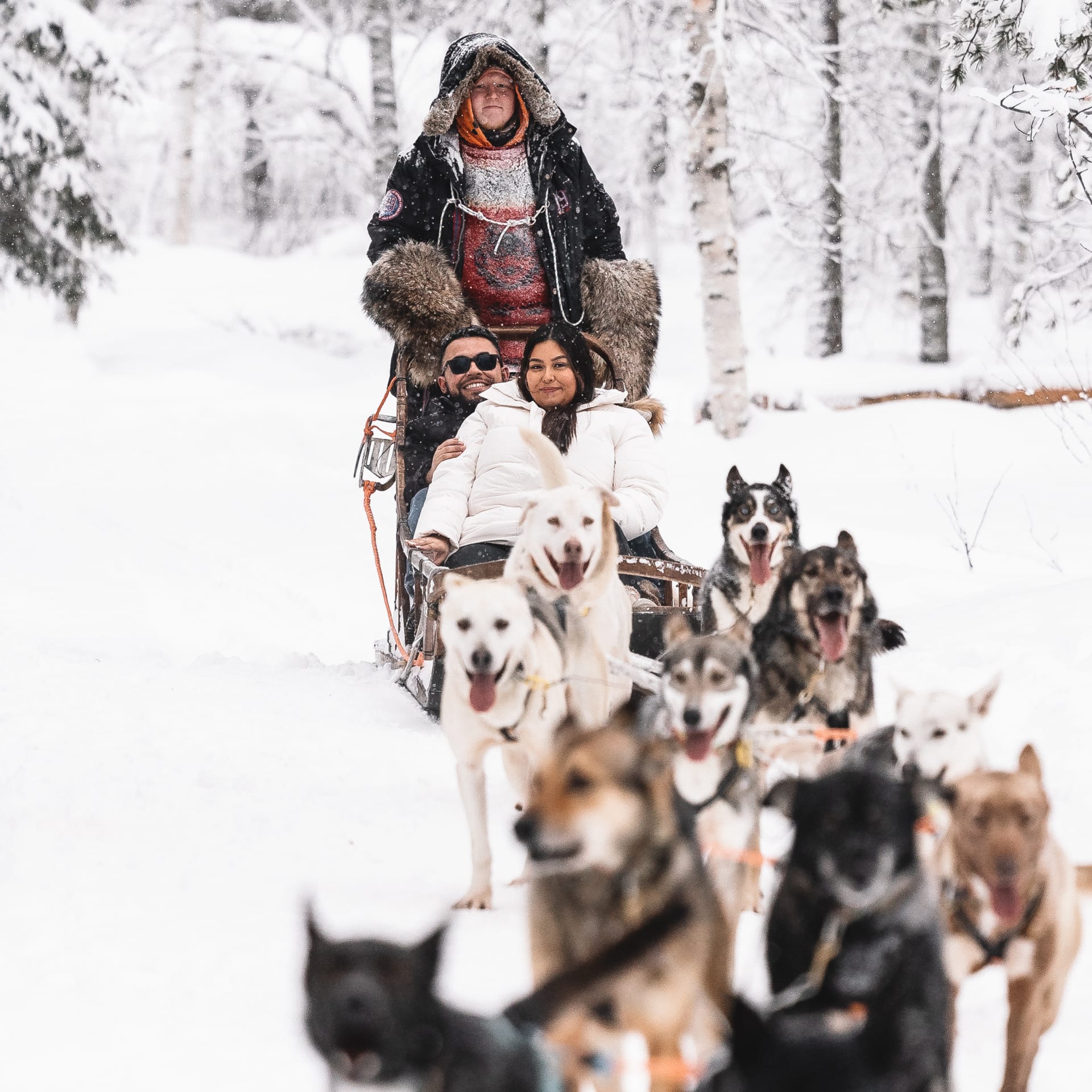 Husky ride is part of the experience