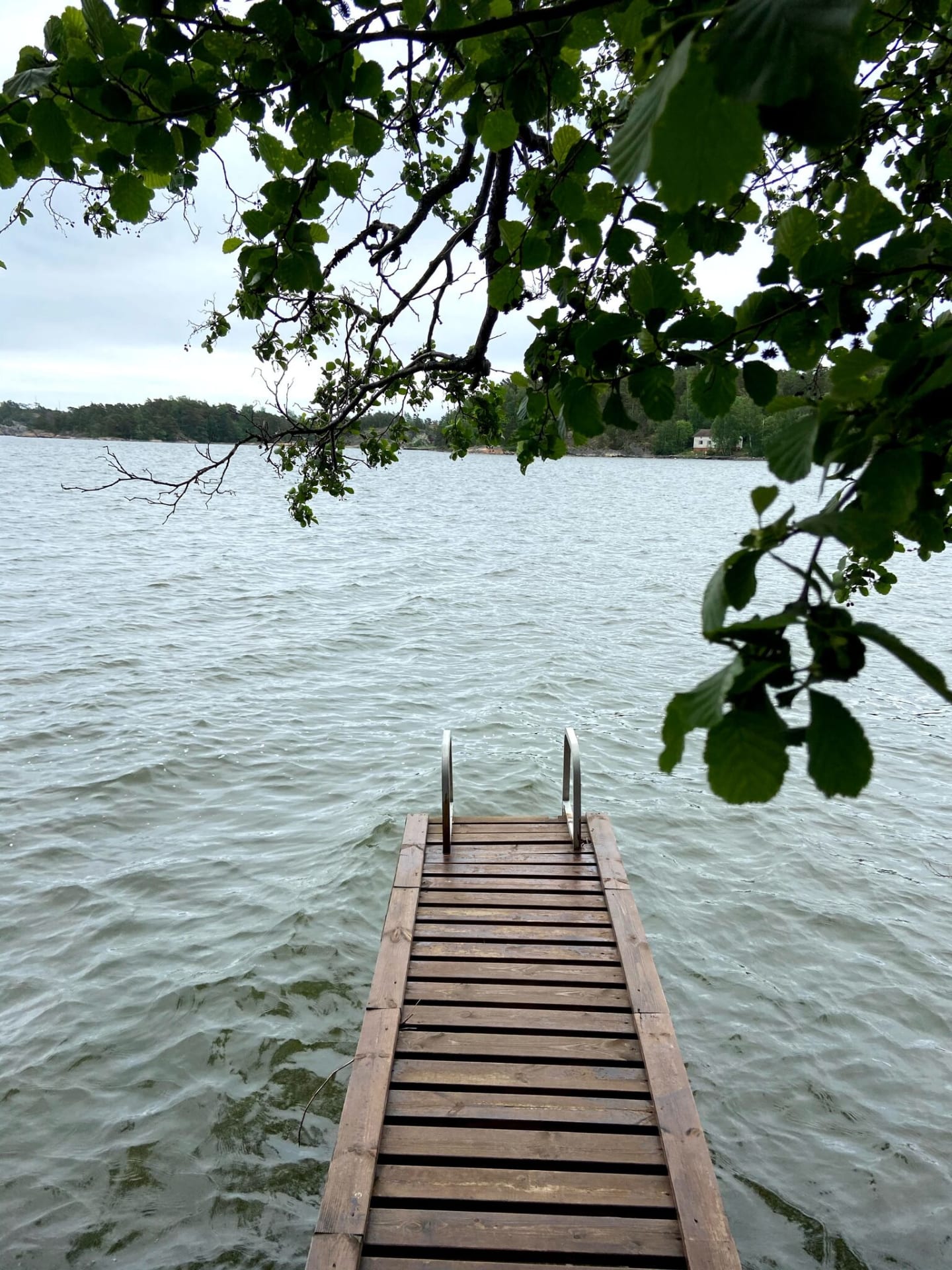 Narrow wooden dock extending into the sea, framed by overhanging green branches.