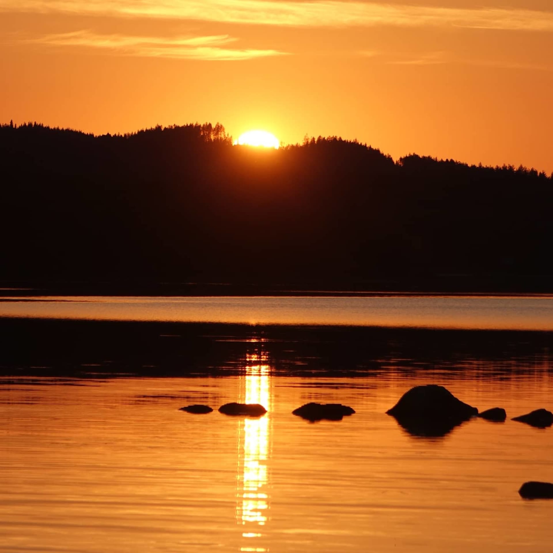 https://aksytammat.fi/en/p/1129/biking-tour-aroud-lake-pielinen