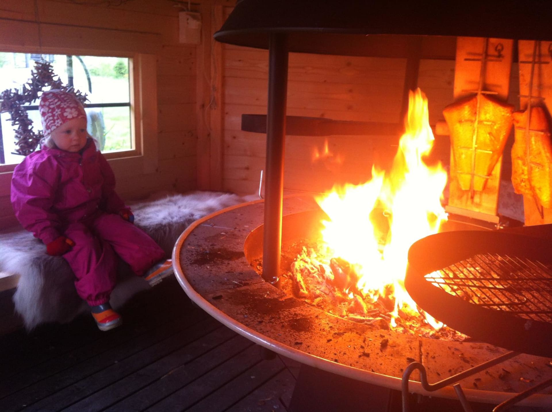 Oulu Reindeers & Christmas Trees 5