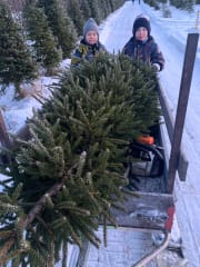 Oulu Reindeers & Christmas Trees 7