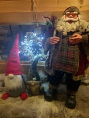 Oulu Reindeers & Christmas Trees 9