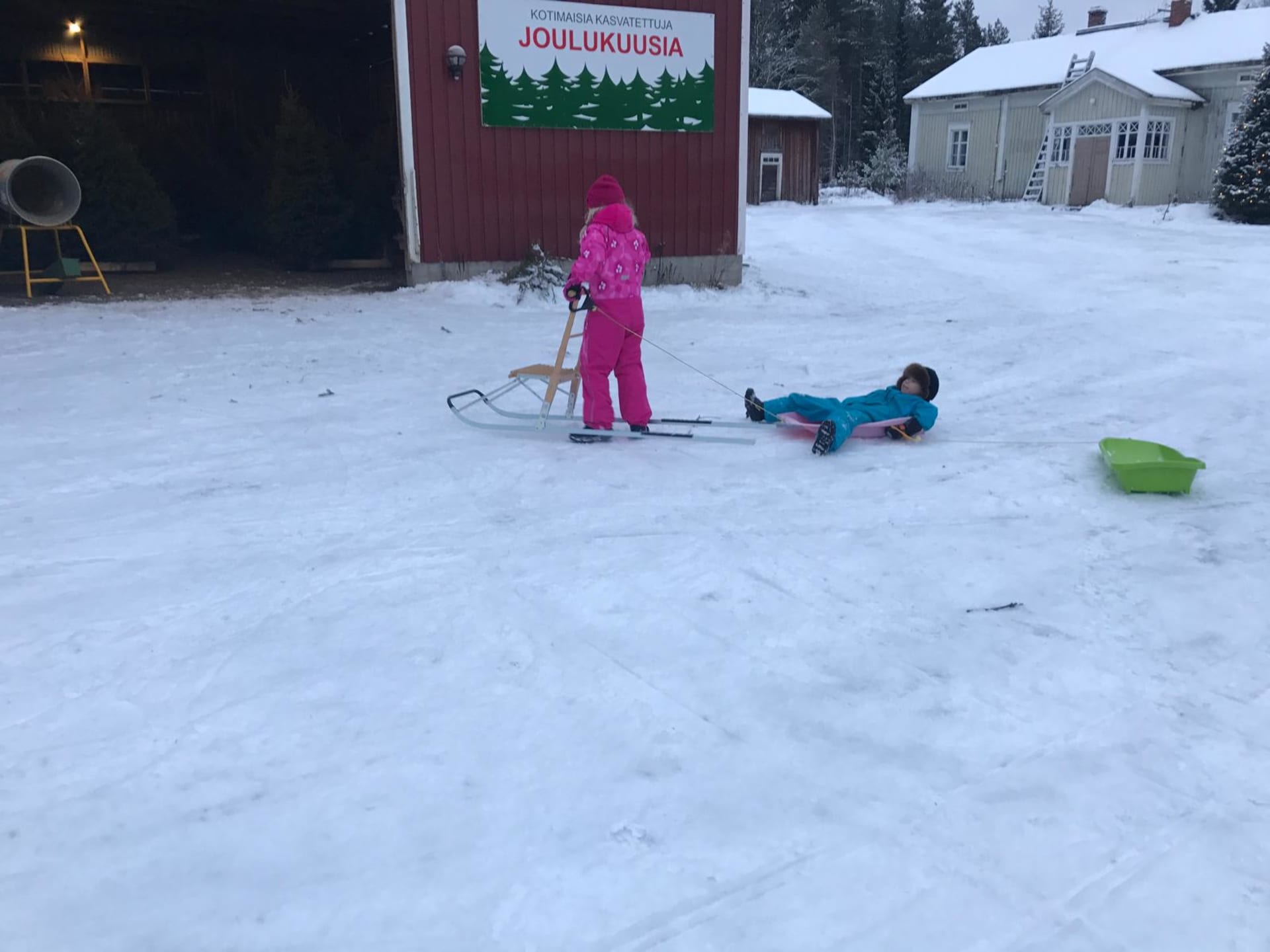Oulu Reindeers & Christmas Trees 11
