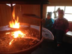 Oulu Reindeers & Christmas Trees 13