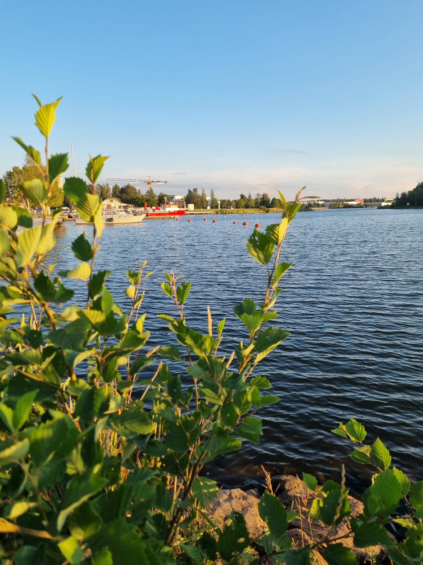 shore of the Bay of Bothnia in 1km away