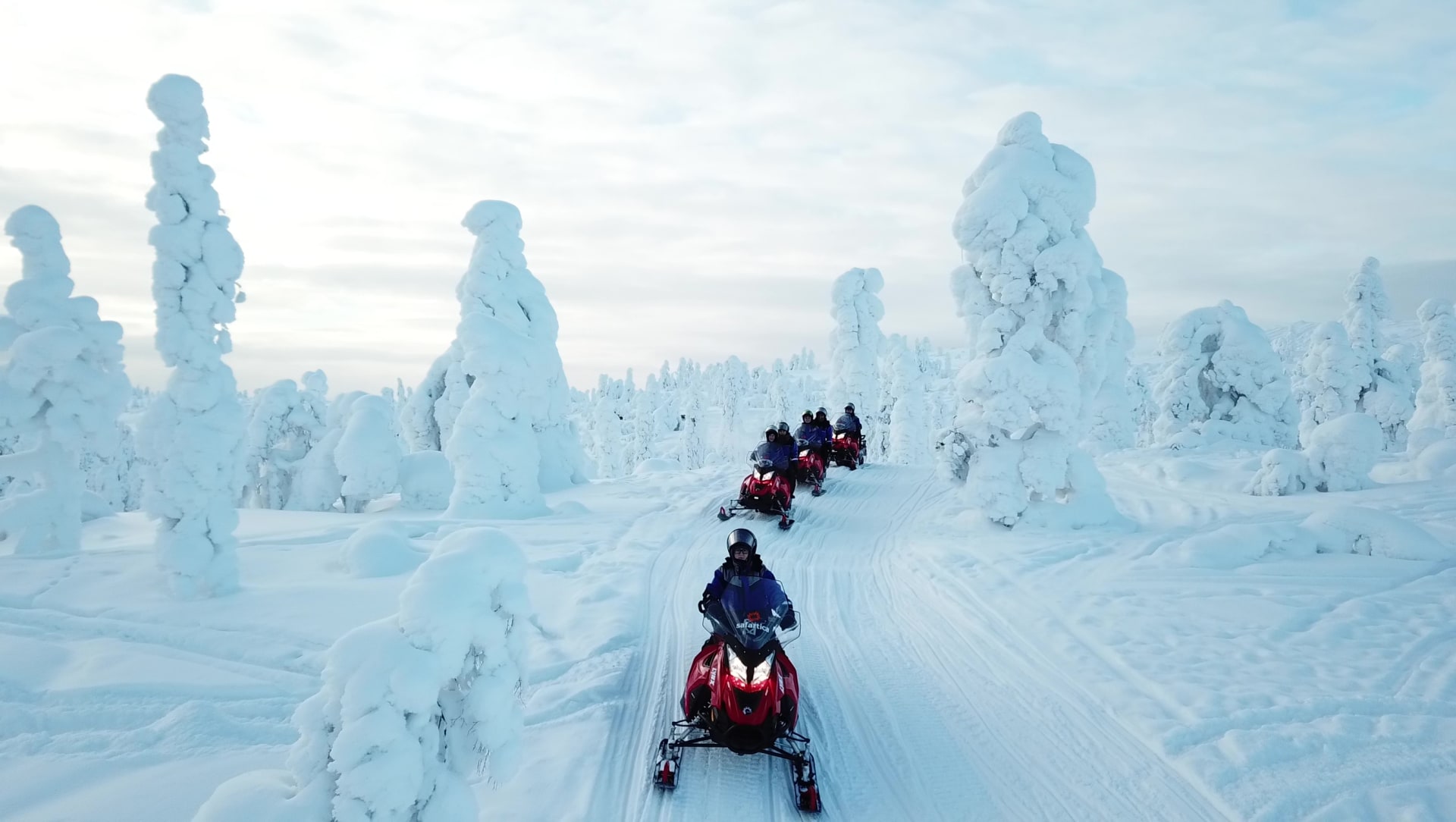 Snowy landscapes
