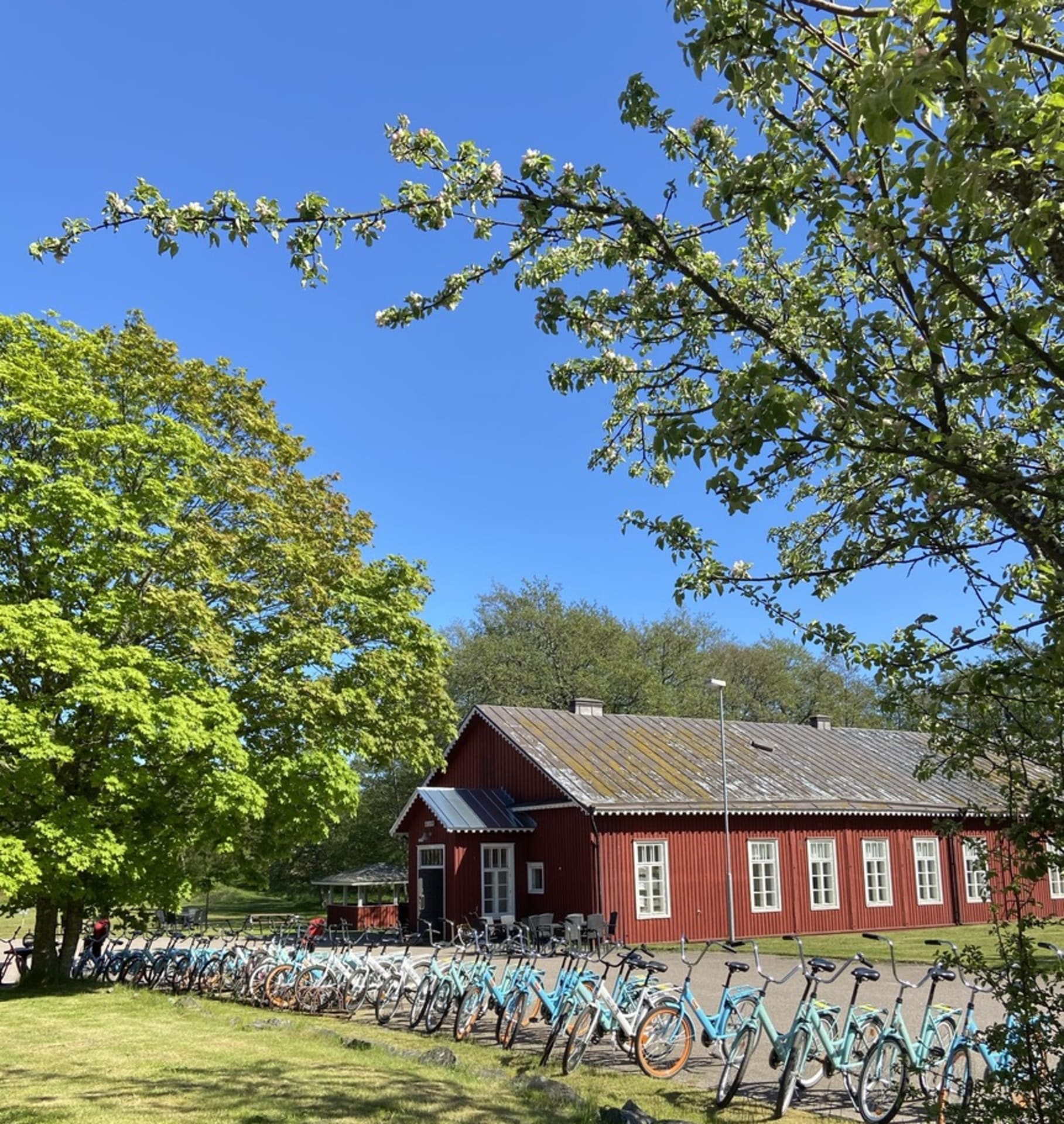 Bicyckles for rent