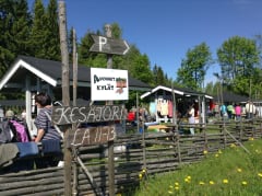 Koikkalan kesätori ja kyläkahvila