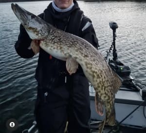 Meriluodon Tähti on kalastajien suosiossa tästä syystä!