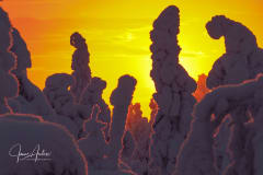 South Lapland Winter Experience - Sunset on the top of fell