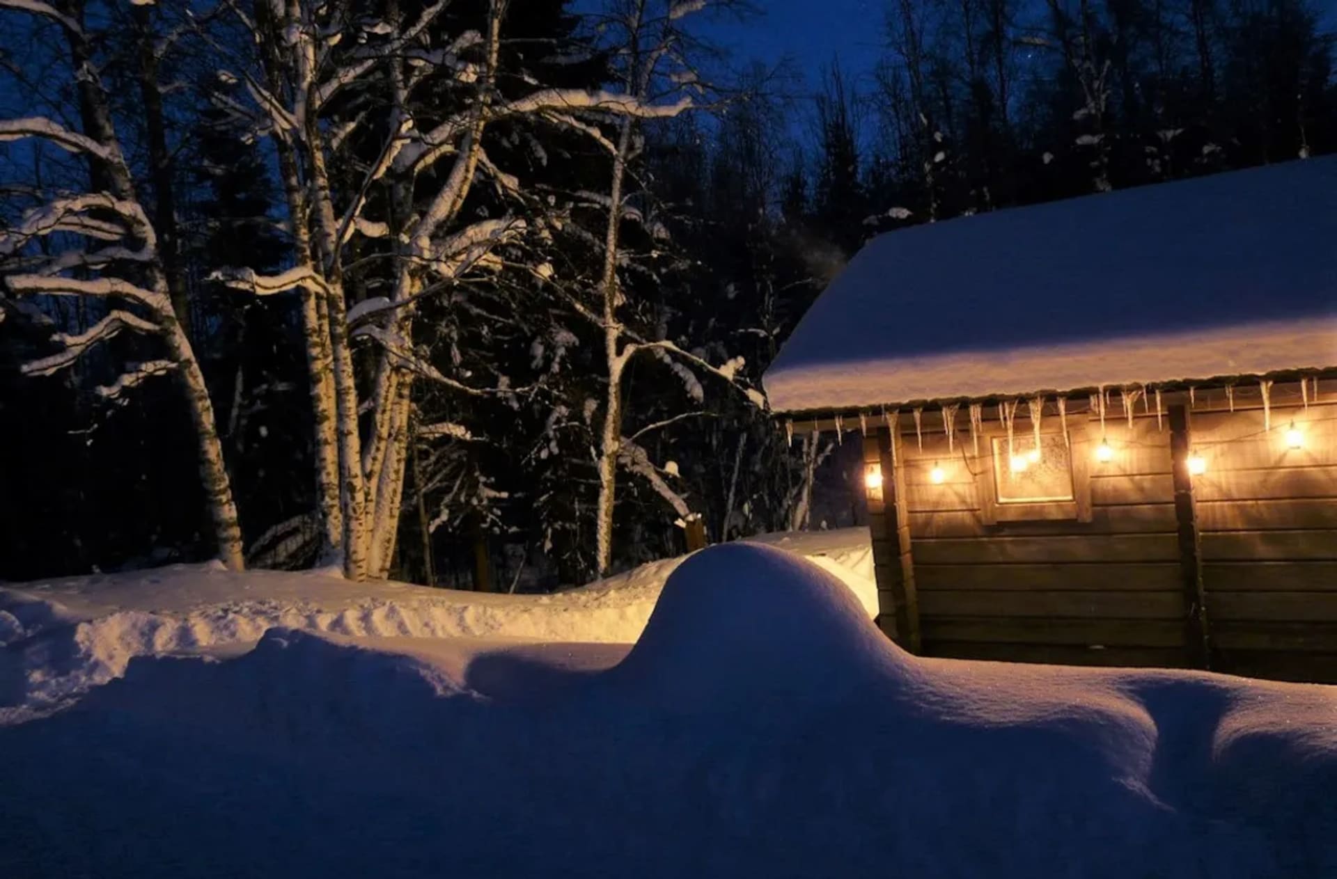 Pre-Christmas Magic in the Finnish Lakeland