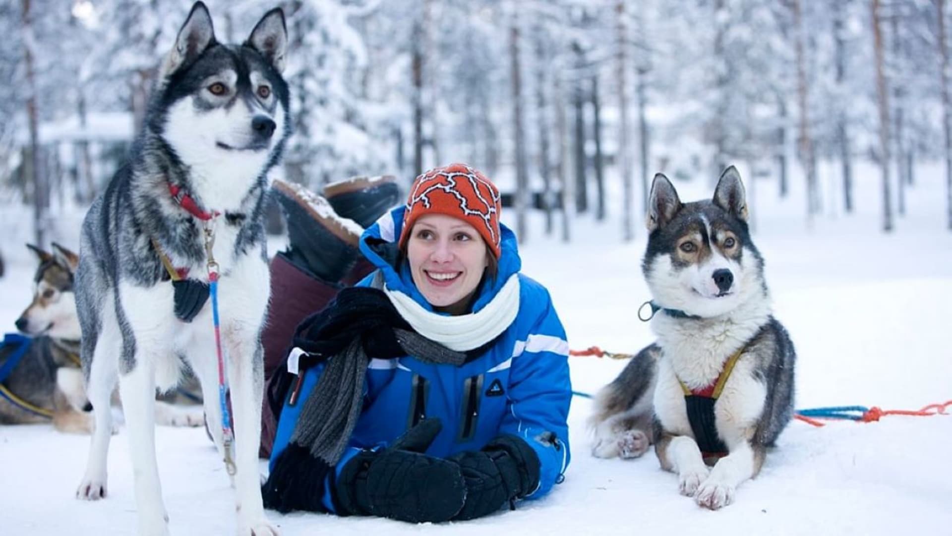 Husky