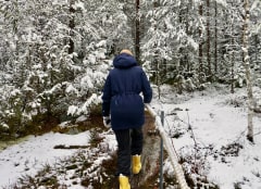 Kohtavaara nature and history trail goes through different landscapes.
