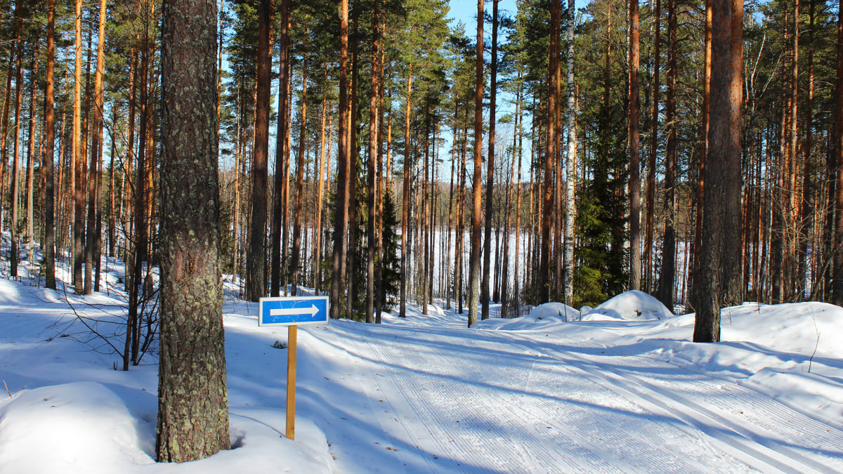 Ski route - Uutela round