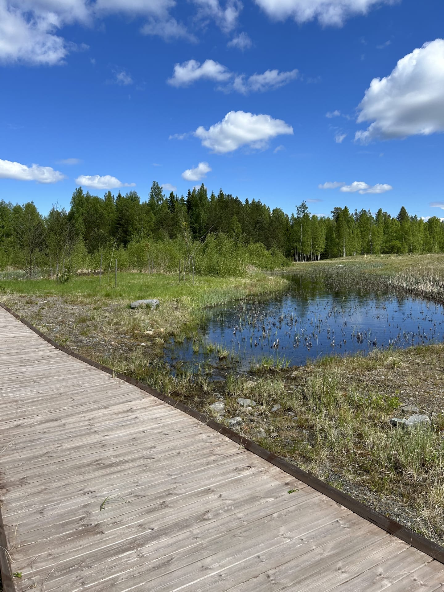 Kanavapuisto Accessible Nature Trail, the Millions of Years Sculpture Exhibition, Arboretum and Rock Garden