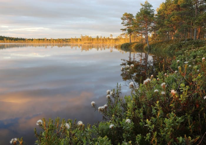 The changing seasons in the national parks are so beautiful.