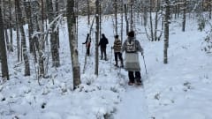 Snowshoe hikers in a winter forest