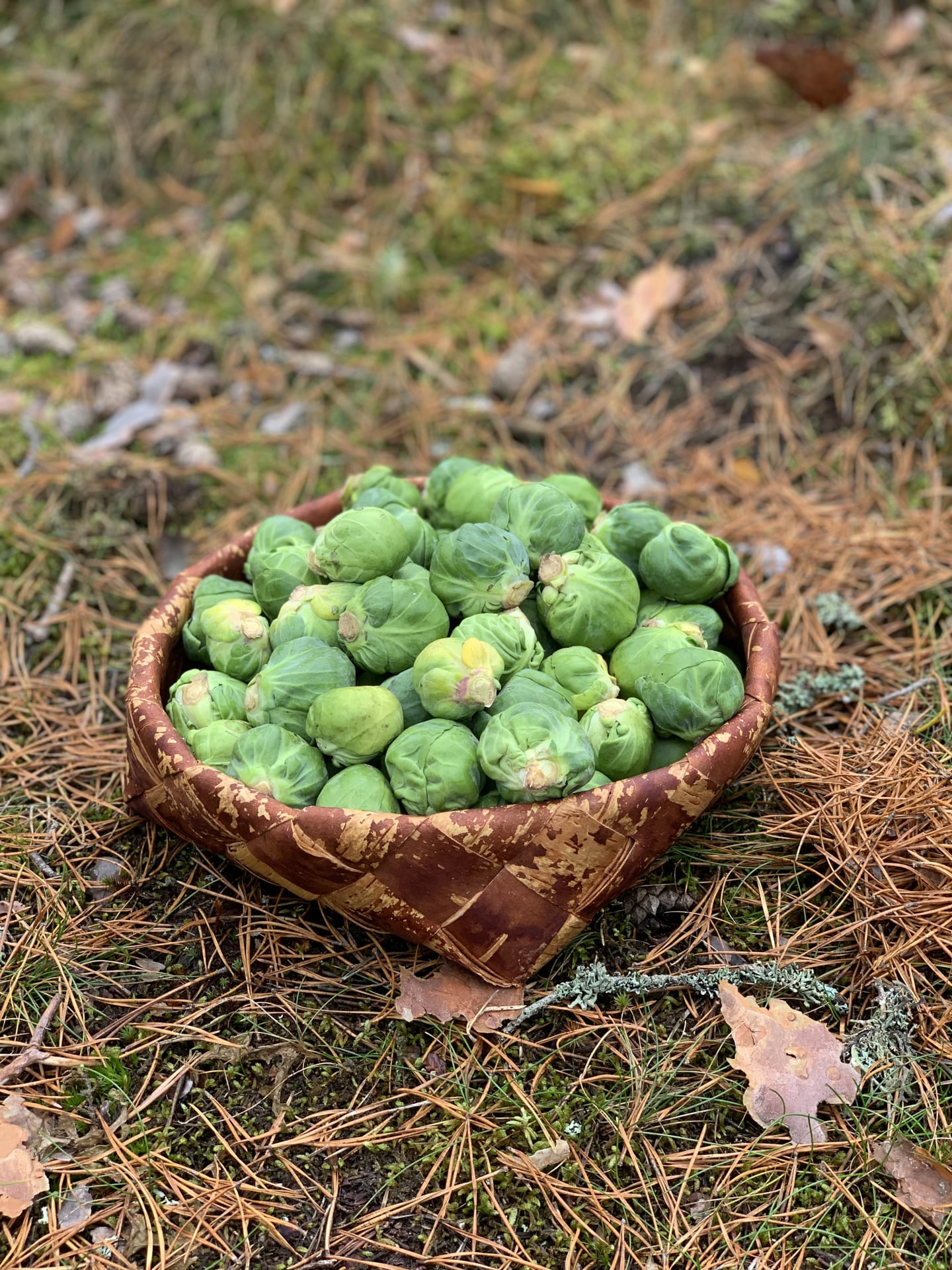 Local ingredients