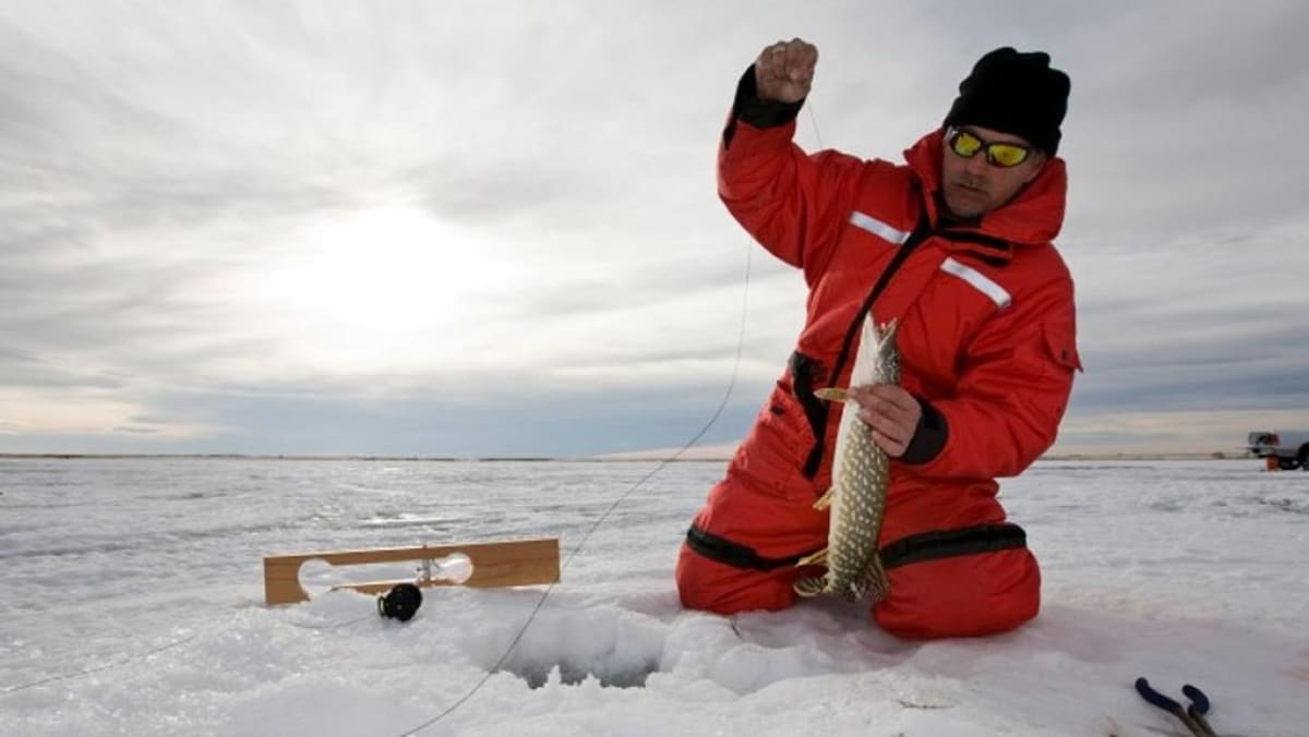 Nordic Ice Fishing Sled -Medium