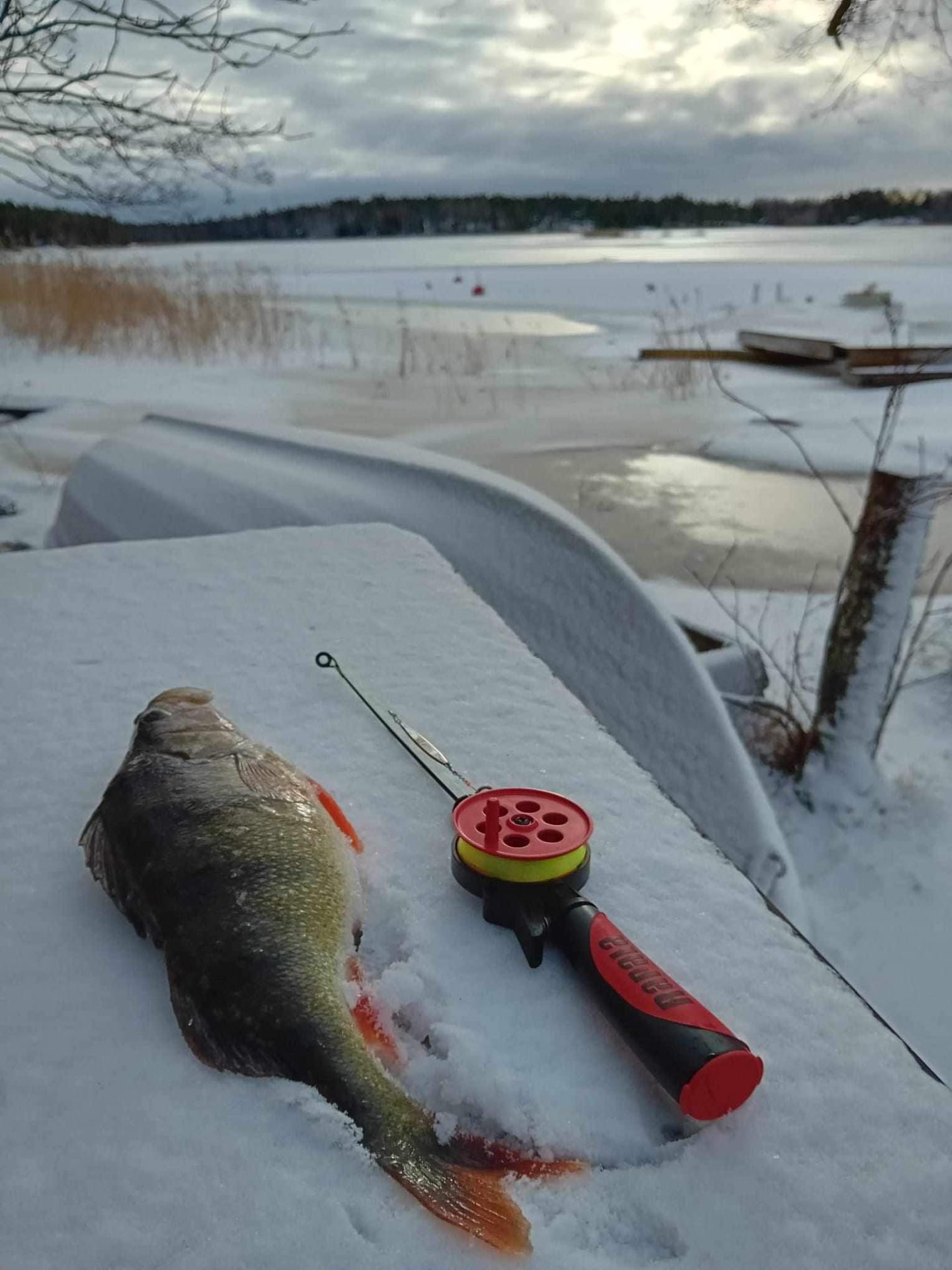 Talvella voit pilkkiä