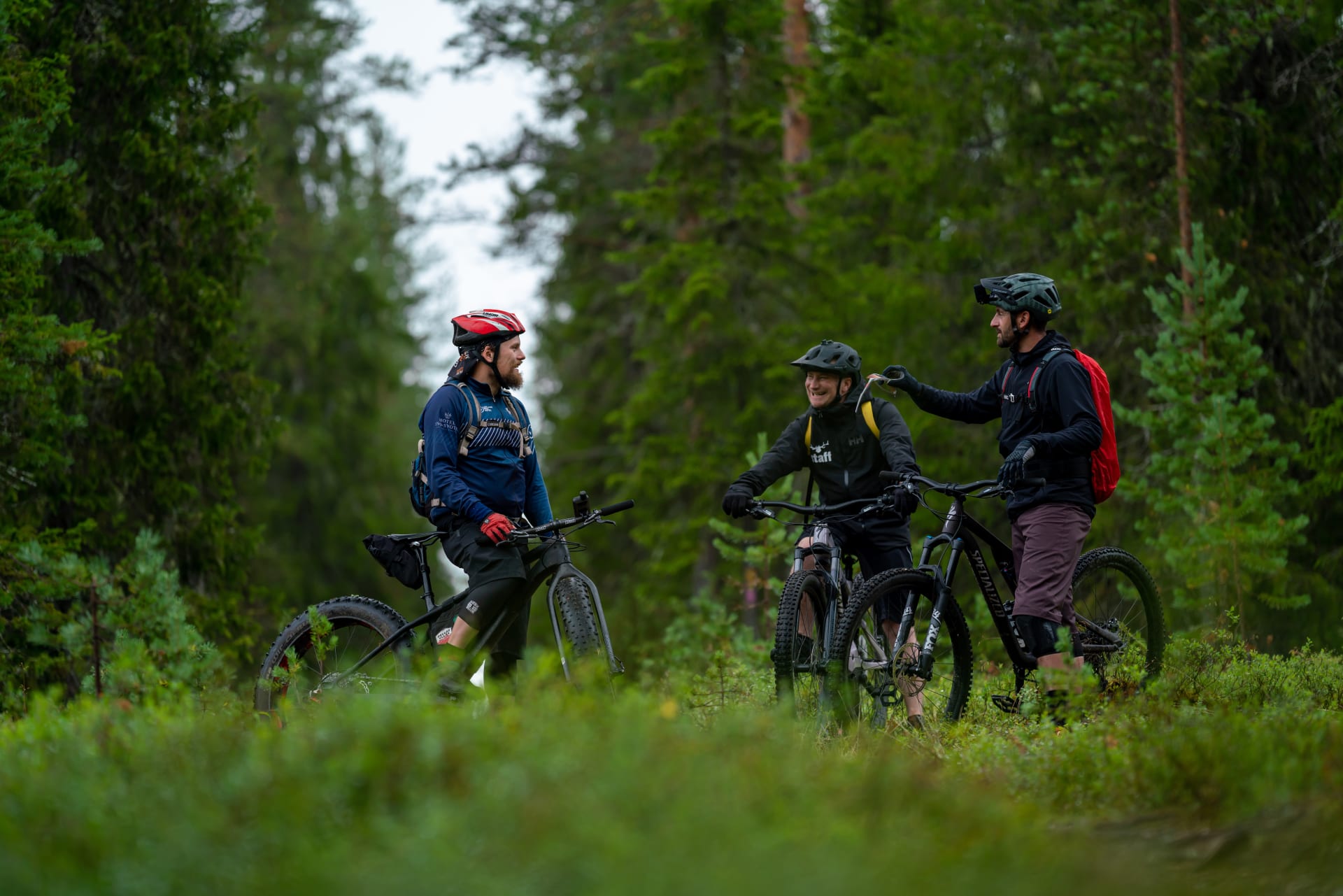 group excursion in Syöte national park