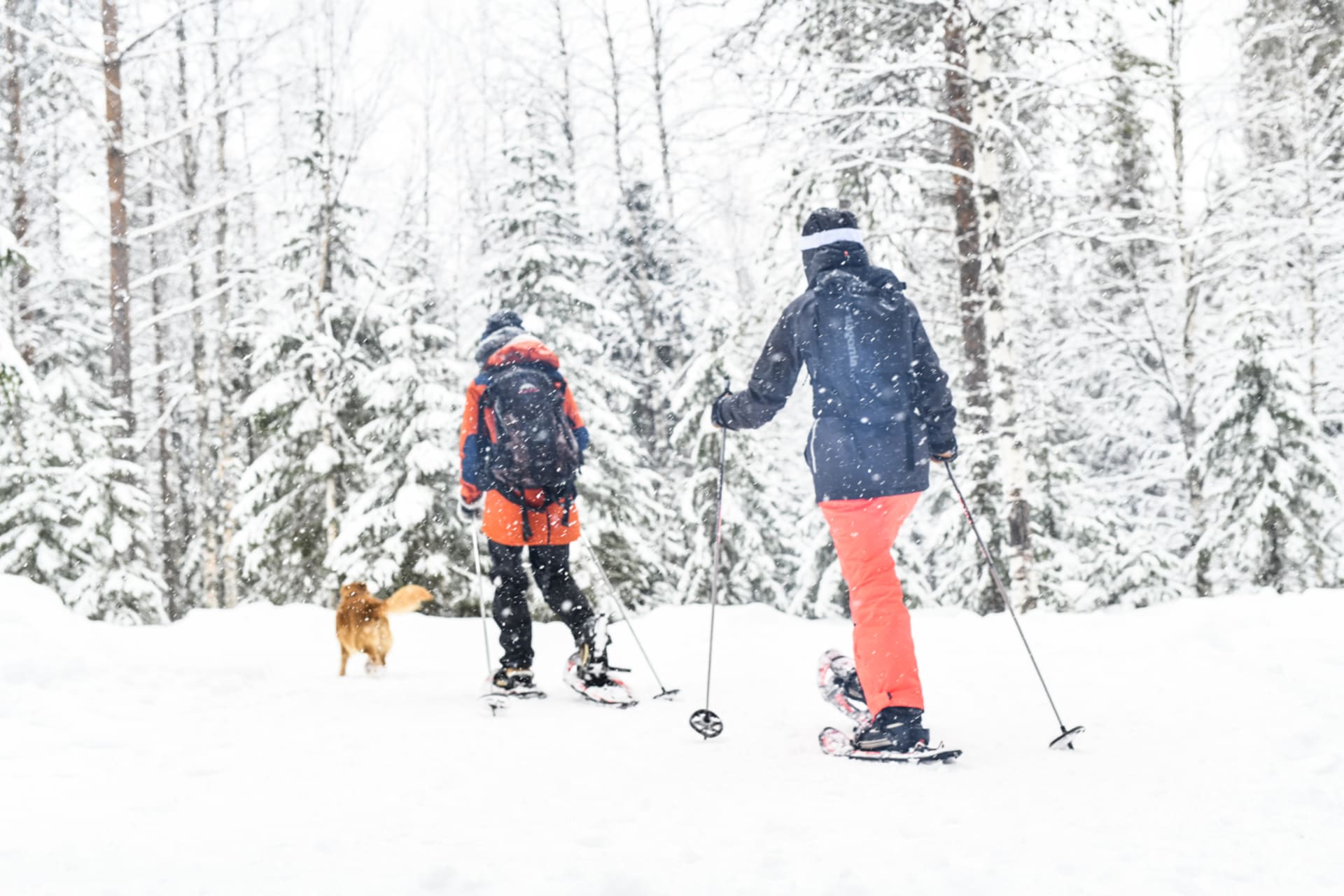 Snowshoe Rental