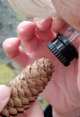 Luupilla näkee yksityiskohtia