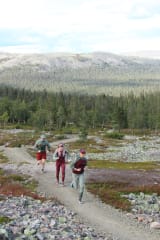 Ylläs Outdoorweek polkujuoksutunnit