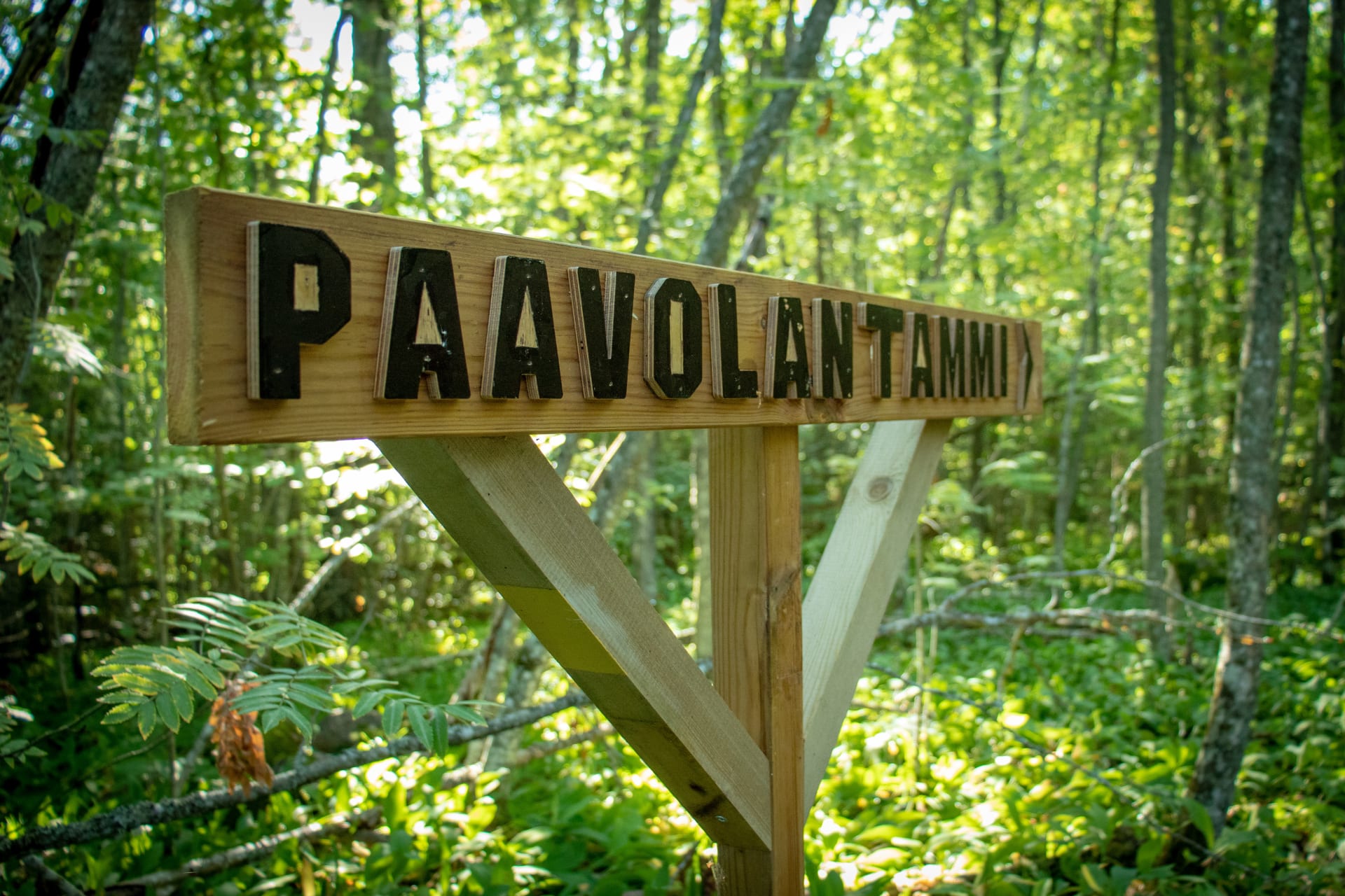 Paavolan luontopolku