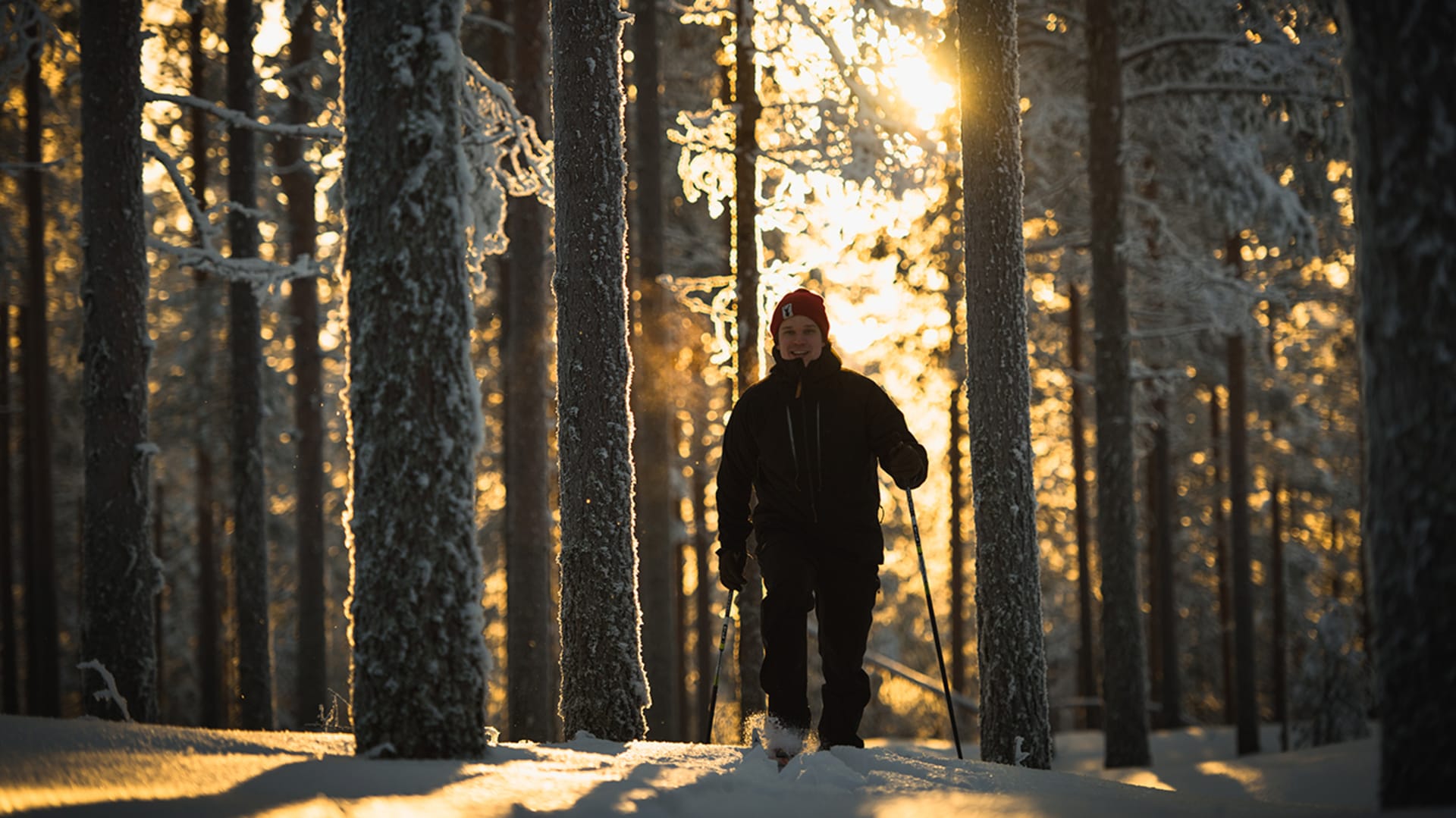 Retkeilijä hiihtää umpihangessa metsässä. Ympärillä puita ja aurinko paistaa takaa. / A hiker skis in the dead end of the forest. There are trees all around and the sun is shining from behind. Kuva: Eeva Mäkinen