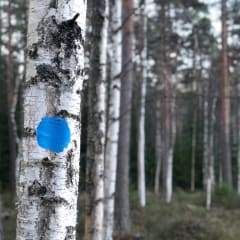 Järvien kierros Hollola