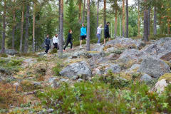 Group of friends hiking in Finnish forest