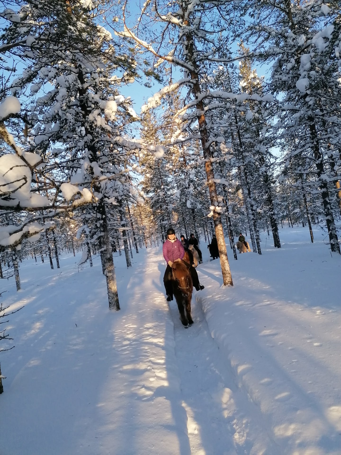 2 hours horse riding trip