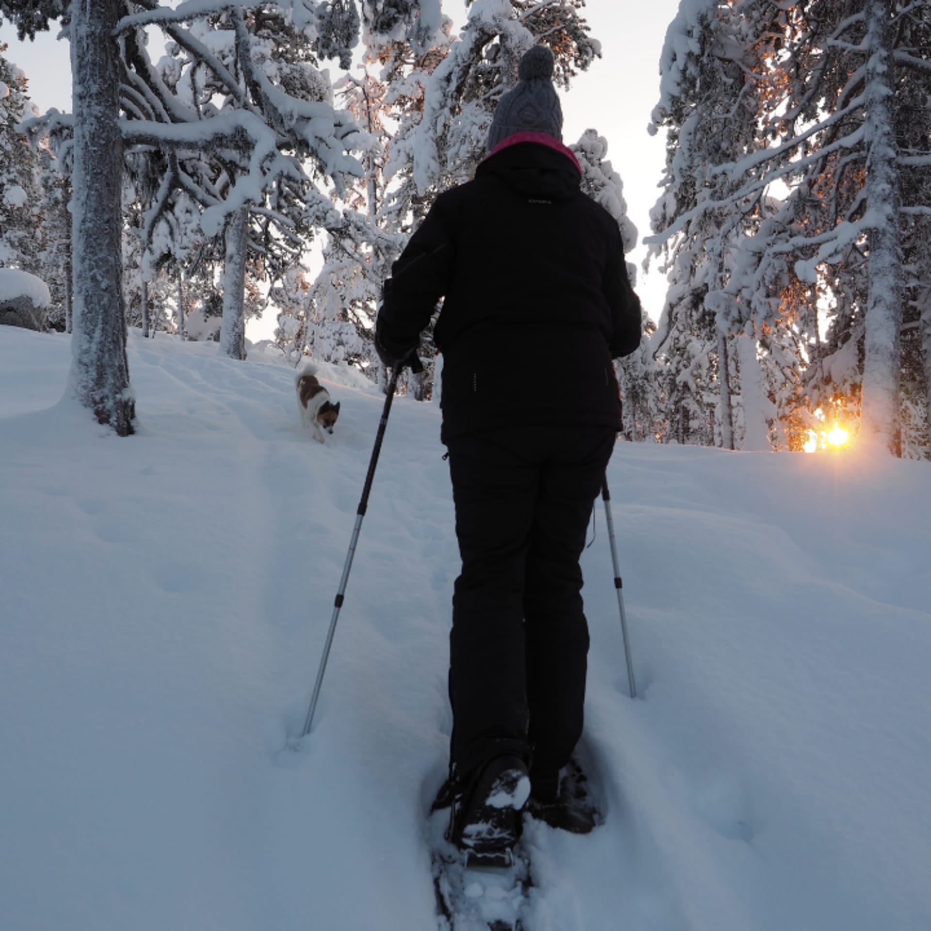 Terhi and Hiski on a snowshoe walk.