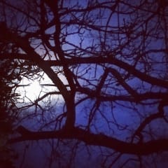 The mysterious nature is an unforgettable experience