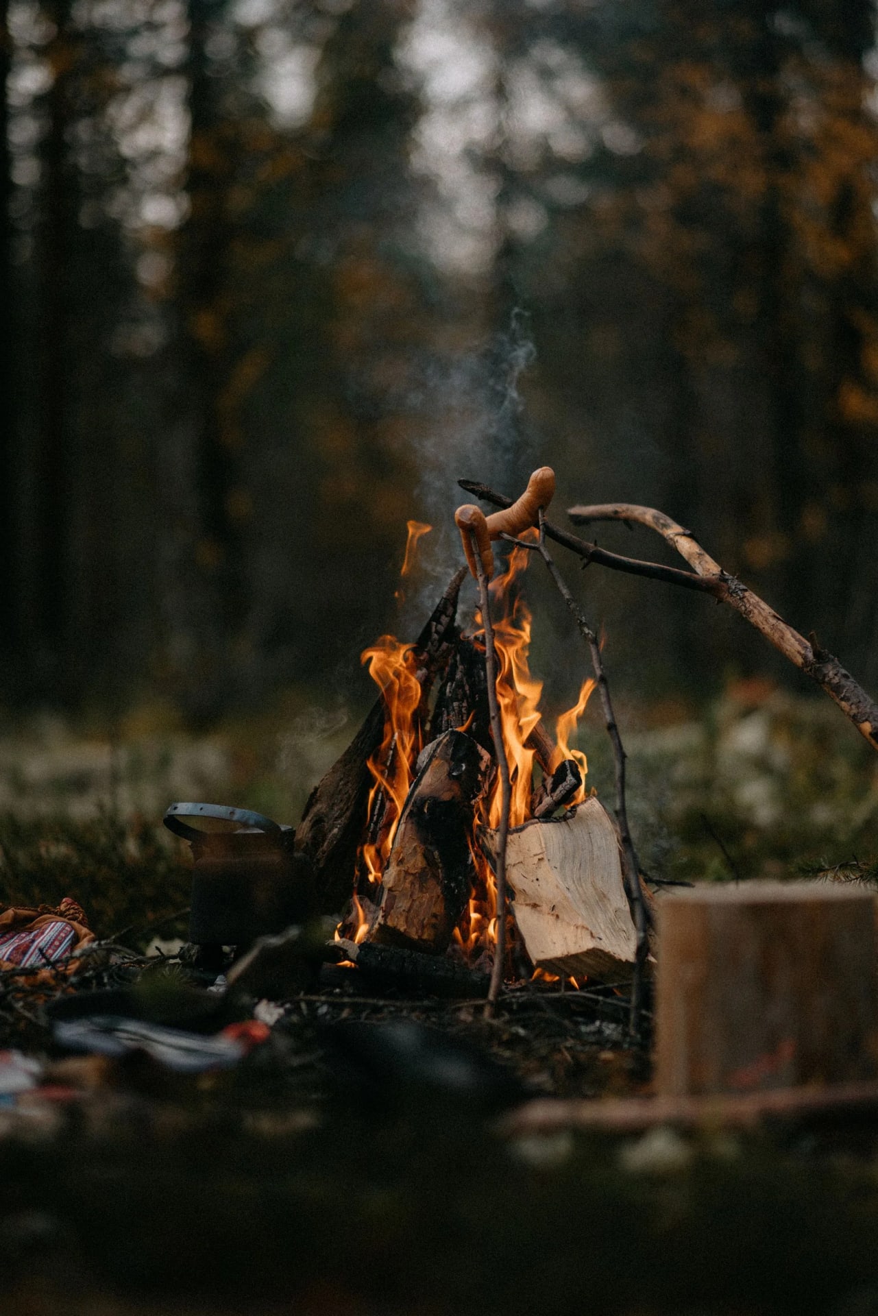 Roasting by campfire