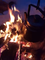 Campfire at night.