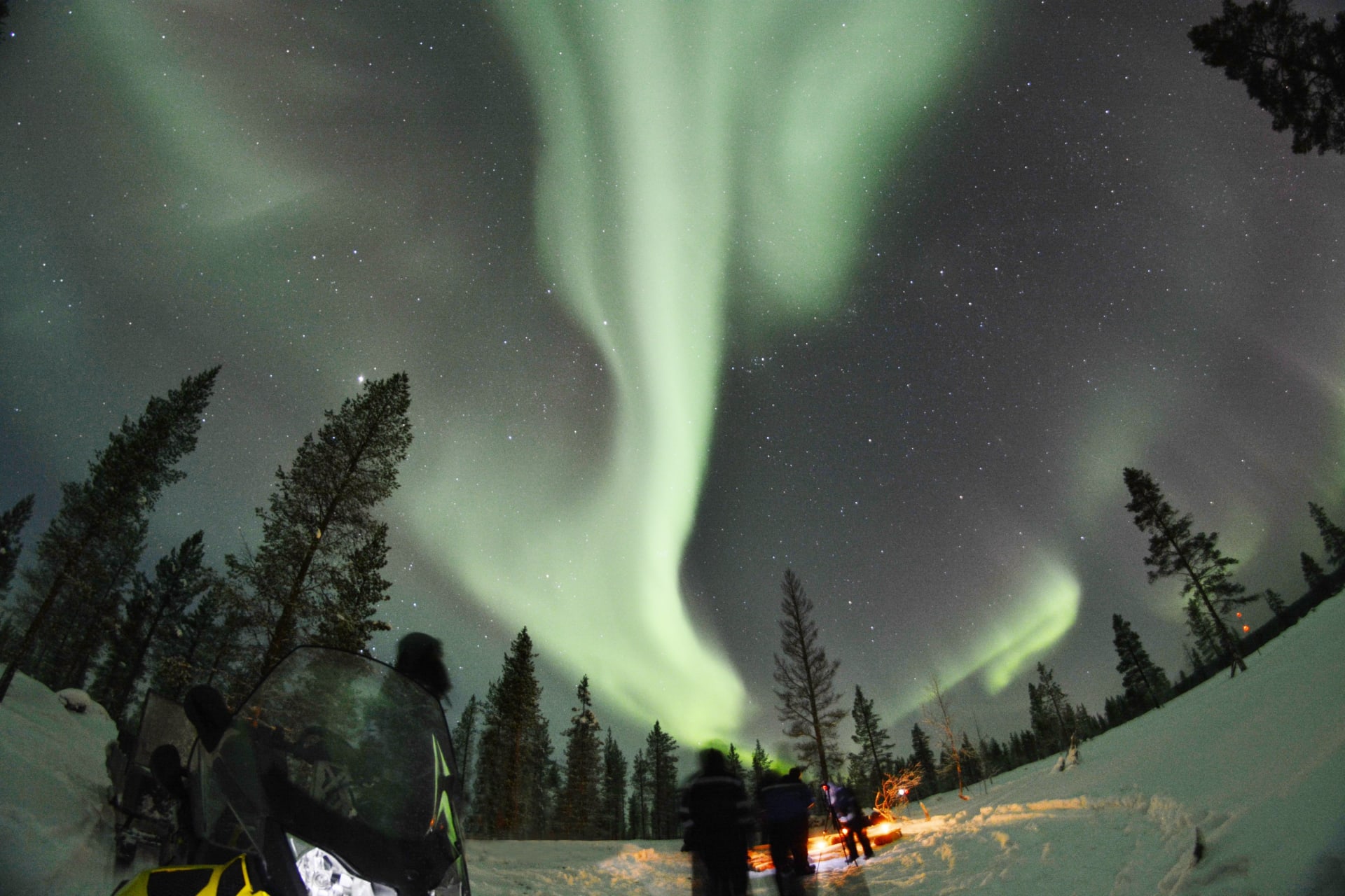 Northern Lights in the forest with Apukka Adventures Night-time Snowmobiling excursion.