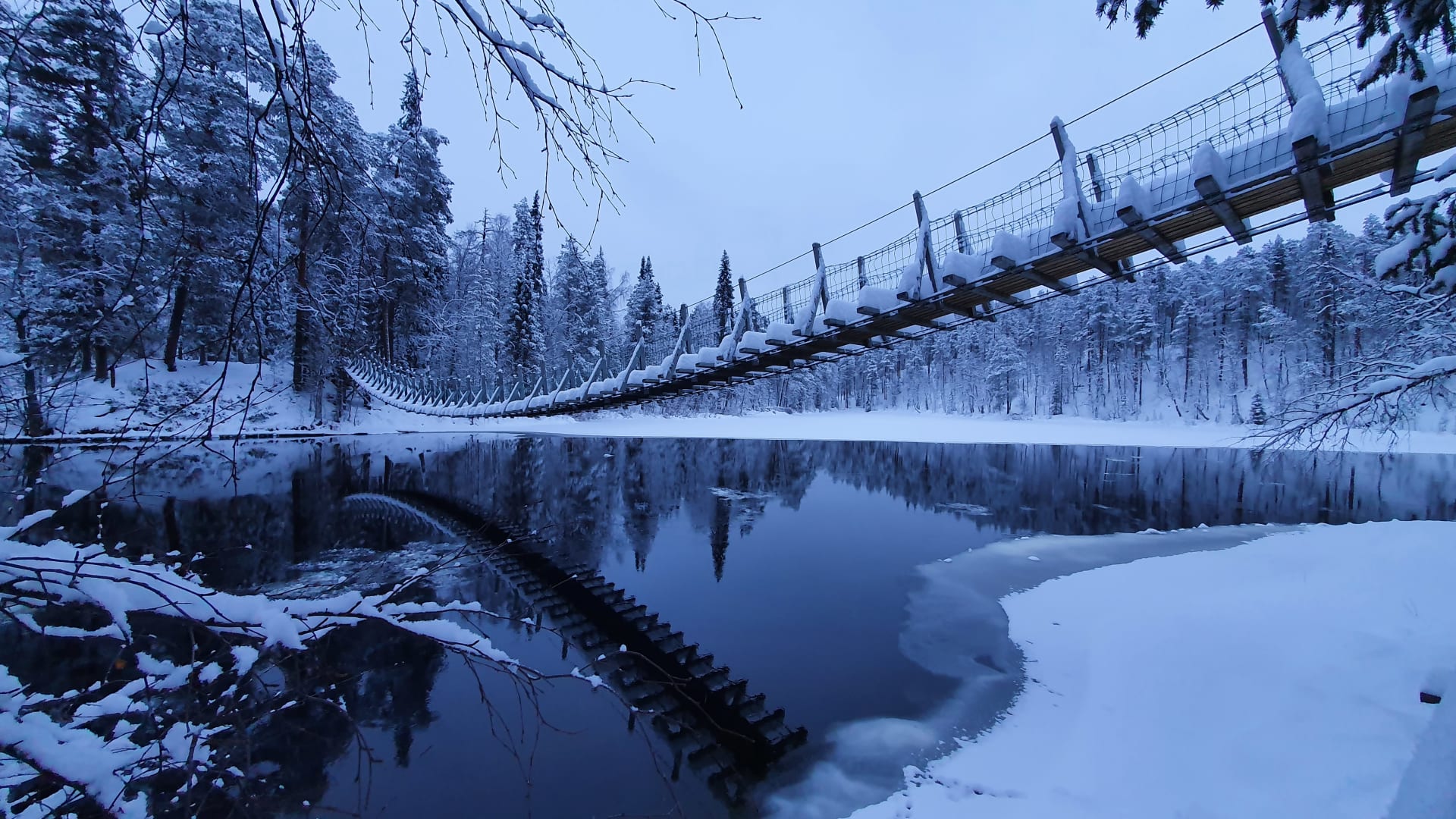 Little Bear's Winter Trail - Snowshoe Excursion in Oulanka