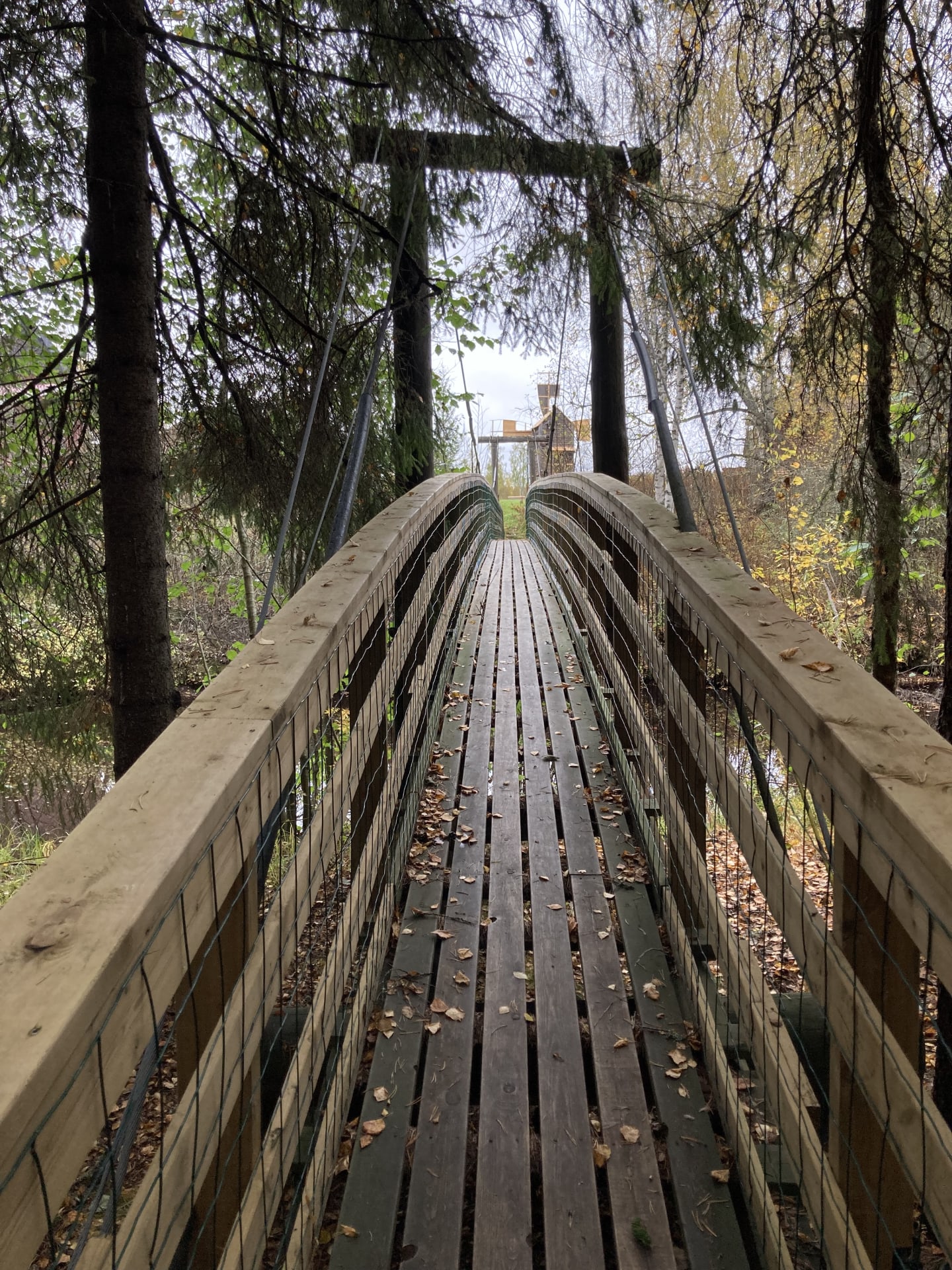 Museon riippusilta Museon riippusilta