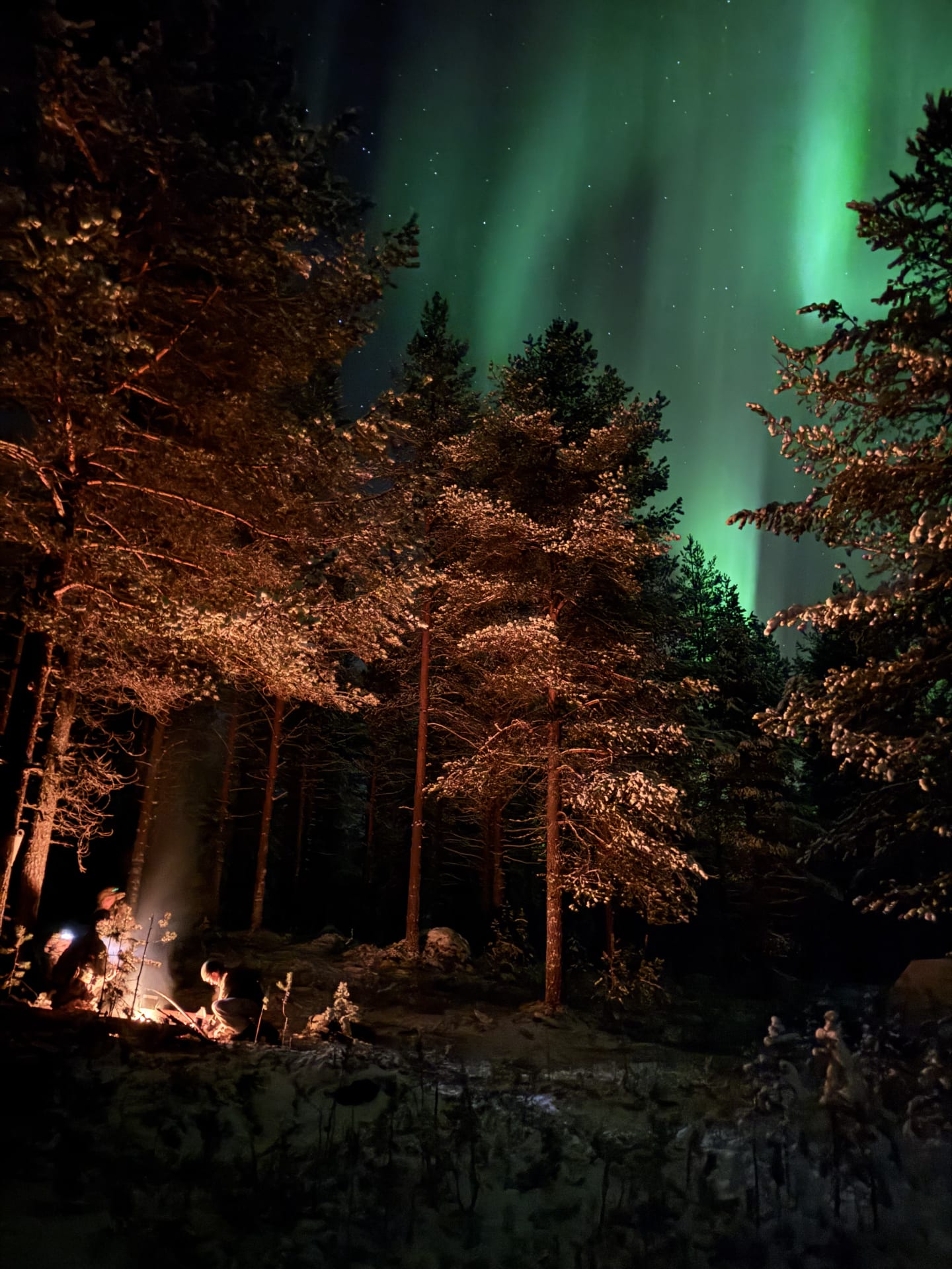 Northern lights guided tour Oulu
