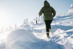 Lapland Safaris Ylläsjärvi