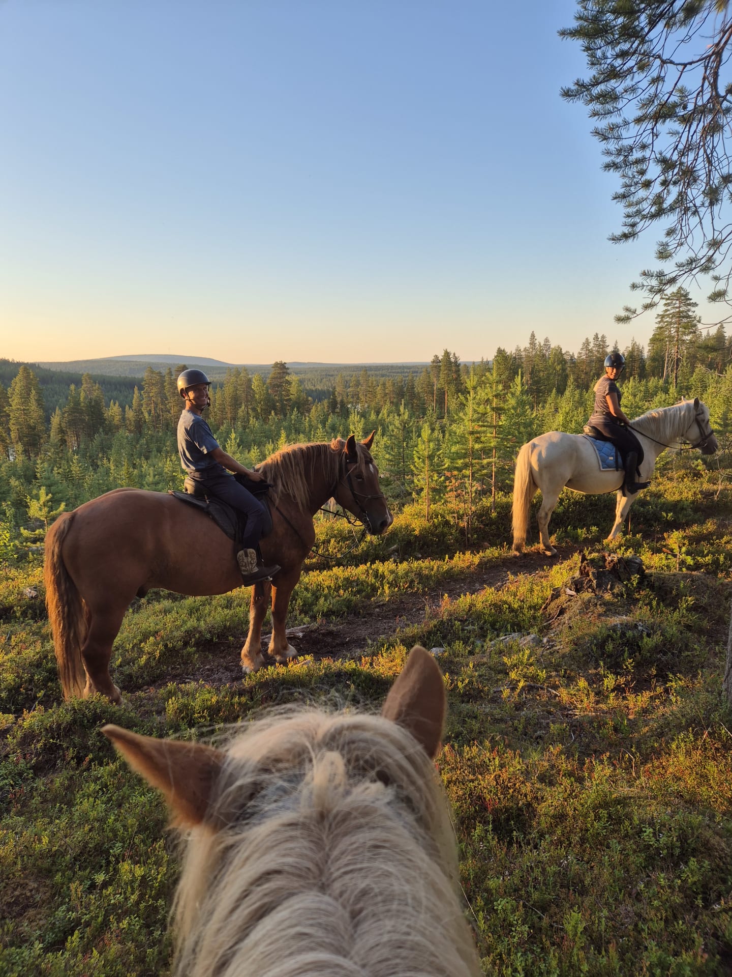 Horse ride to the Haukivaara