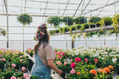 Kasvihuonemyymälä Kaijansinkon Puutarha