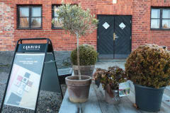 Ohittamaton Ostoskierros