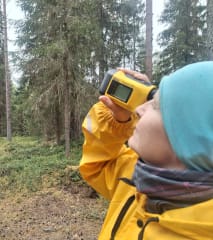 Nainen mittaa puun pituutta mittauslaitteella.