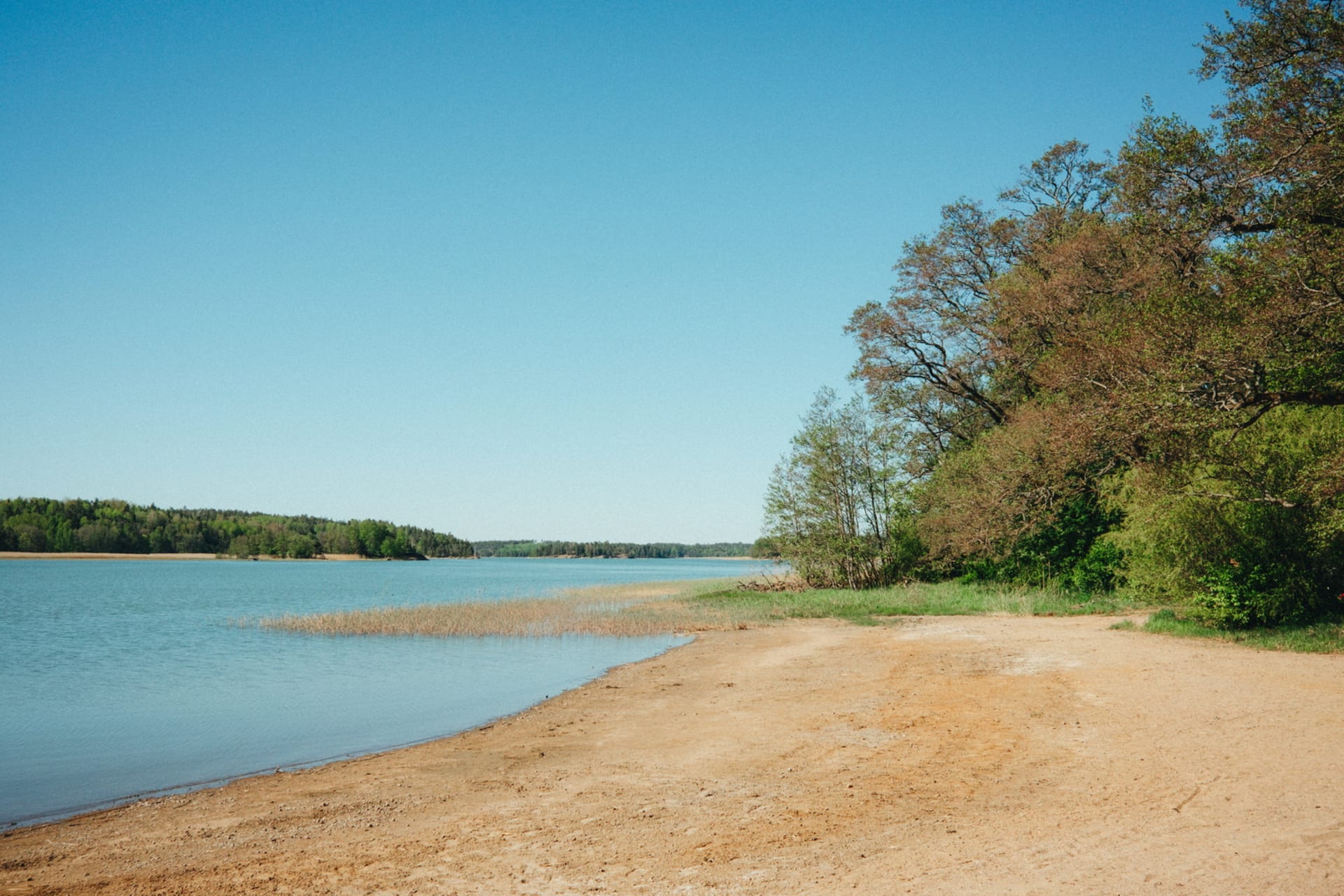 View from the beach