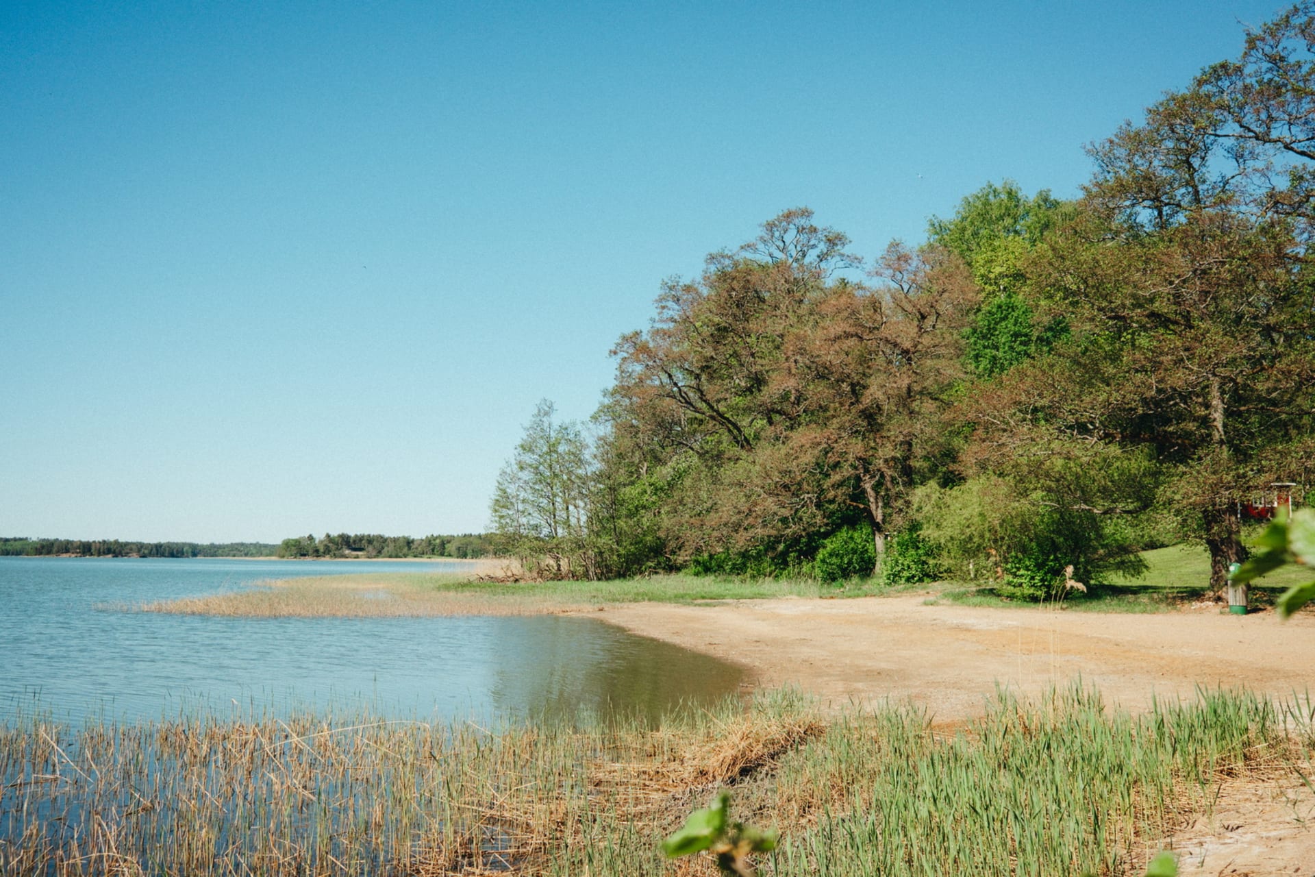 Photo of the beach 