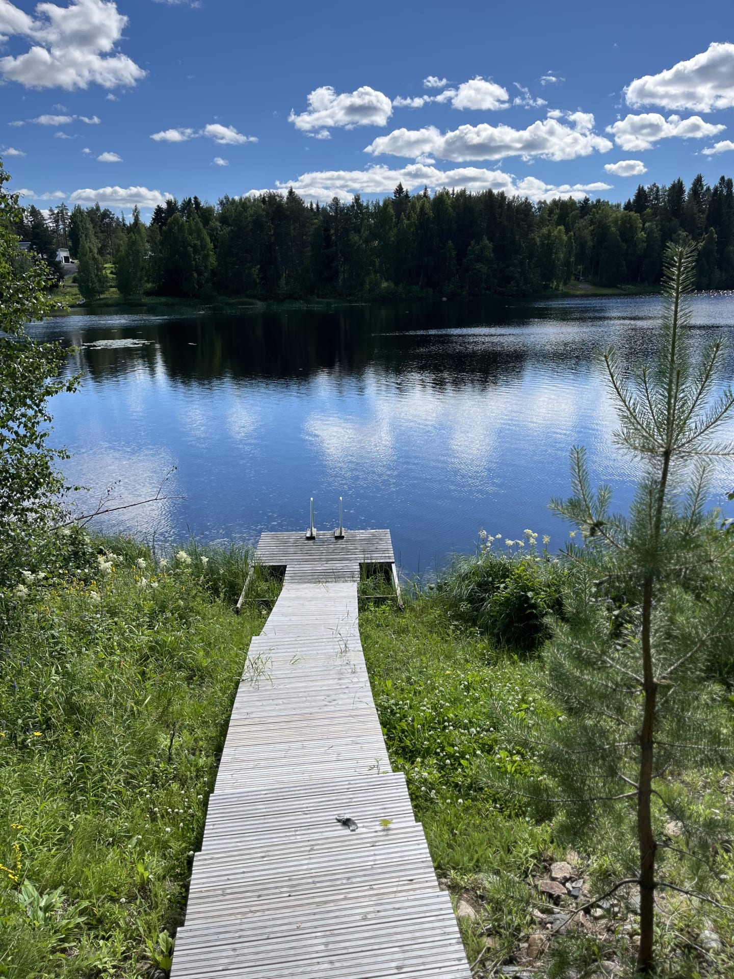 Ii-joki lähellä Salmelaa