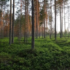 Our caWhether you're an active hiker, a seeker of silence or a nature lover. Whether you're traveling solo, with family, a group of friends, or for a meeting - you're warmly welcome. Find your dream holiday with us.